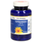 TOPINAMBUR E 300 mg GPH Kapseln