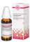 CARDIOSPERMUM D 1 Dilution