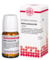 BELLIS PERENNIS D 6 Tabletten