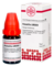 PULSATILLA LM XXIV Dilution