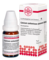CALCIUM CARBONICUM Hahnemanni LM XXX Globuli