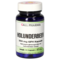 HOLUNDERBEER 350 mg GPH Kapseln
