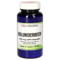 HOLUNDERBEER 350 mg GPH Kapseln
