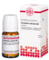 GRINDELIA ROBUSTA D 6 Tabletten