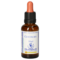 BACHBLÜTEN Centaury Healing Herbs Tropfen