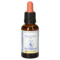 BACHBLÜTEN Chestnut Bud Healing Herbs Tropfen