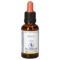 BACHBLÜTEN Holly Healing Herbs Tropfen