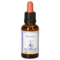 BACHBLÜTEN Walnut Healing Herbs Tropfen