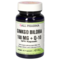 GINKGO BILOBA 160 mg+Q10 GPH Kapseln