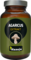 AGARICUS PILZ Extrakt 400 mg Tabletten