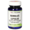 HUMULUS Lupulus 125 mg GPH Kapseln