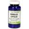 HUMULUS Lupulus 125 mg GPH Kapseln