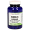 HUMULUS Lupulus 125 mg GPH Kapseln