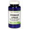 STROBULUS Lupulus 125 mg GPH Kapseln