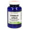 STROBULUS Lupulus 125 mg GPH Kapseln