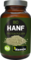 BIO HANF PROTEIN Pulver