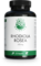 GREEN NATURALS Rhodiola rosea 500 mg hochdos.Kaps.