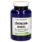 LÖWENZAHNWURZEL 500 mg GPH Kapseln