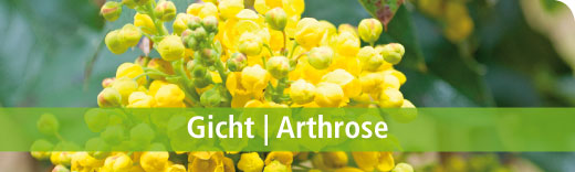 Dreluso Gicht Arthrose Dreluso Gicht Arthrose