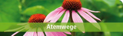 Dreluso Atemwege Dreluso Atemwege
