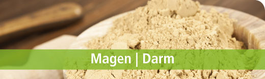 Dreluso Magen Darm Dreluso Magen Darm