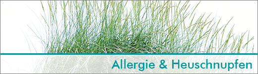 Allergie Allergie