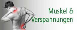 Muskel & Verspannungen