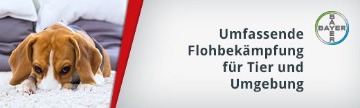 Umfassende Flohbekämpfung für Tier und Umgebung Umfassende Flohbekämpfung für Tier und Umgebung