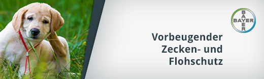 Vorbeugender Zecken- und Flohschutz Vorbeugender Zecken- und Flohschutz