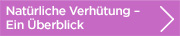 Persona Verhütung Überblick