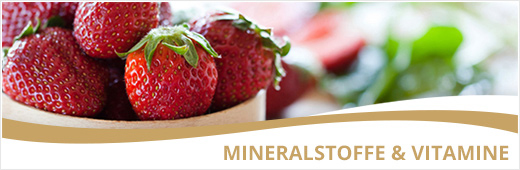 Doppelherz Mineralstoffe Doppelherz Mineralstoffe