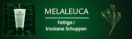 Furterer Melaleuca