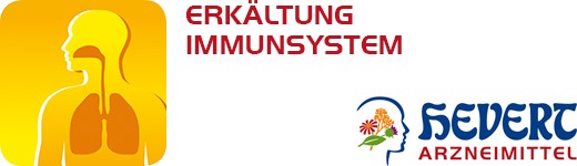 Hevert Erkältung Immunsystem