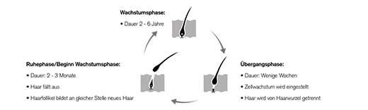 Wachstum Wachstum