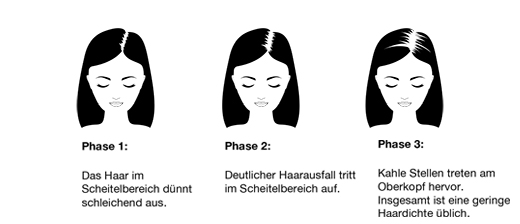 Wachstumsphase Wachstumsphase