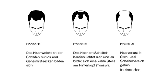 Wachstumsphase Wachstumsphase