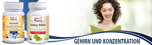 Zein Gehirn und Konzentration Zein Gehirn und Konzentration