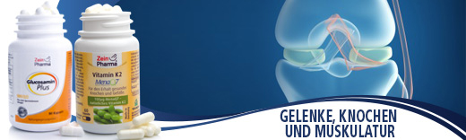 Zein Gelenk, Knochen und Muskulatur Zein Gelenk, Knochen und Muskulatur