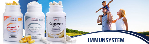 Zein Immunsystem Zein Immunsystem