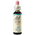 BACHBLÜTEN Vervain Tropfen