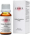 CERES Ginkgo dryopteris comp.Tropfen
