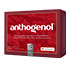 OPC ORIGINAL Masqueliers Anthogenol Kapseln