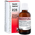 SECALE-GASTREU R28 Mischung
