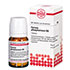 FERRUM PHOSPHORICUM D 6 Tabletten