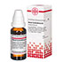 OLEUM TEREBINTHINAE D 4 Dilution