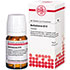 BELLADONNA D 12 Tabletten