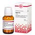 BERBERIS D 4 Tabletten