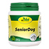 SENIOR Dog