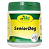 SENIOR Dog