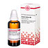 ACIDUM LACTICUM D 6 Dilution